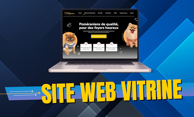 faire la conception de votre site web vitrine ou boutique en ligne