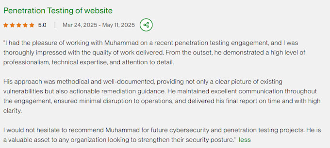 do manual penetration testing with owasp top 10 report