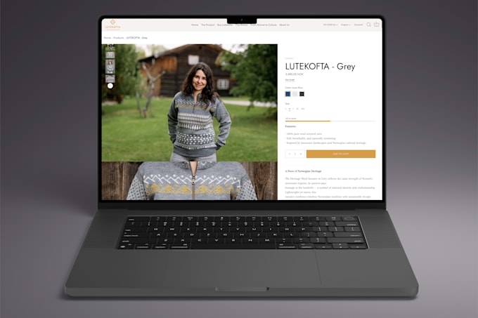 build your premium shopify store or dropshipping store