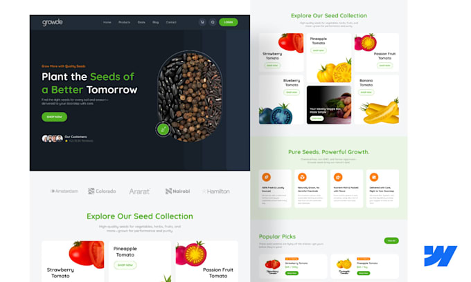 design or develop a webflow website, figma to webflow