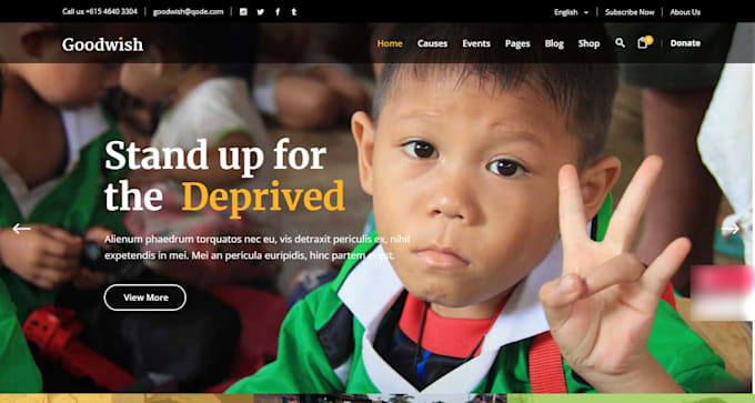nonprofit charity, 501c3, ngo, donation, non profit website on wordpress or wix