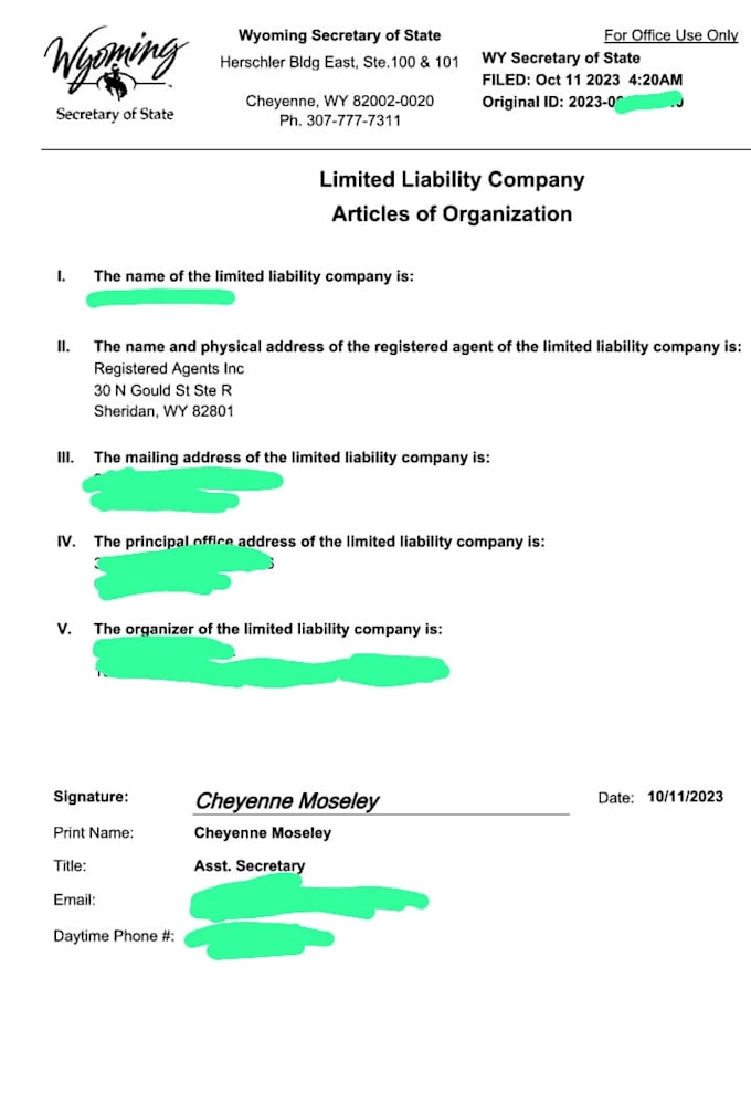handle US llc registration and US llc tax filing
