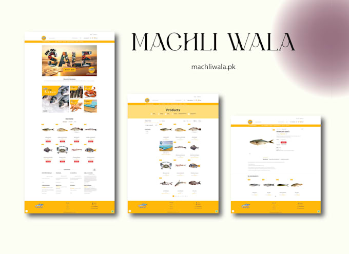design and develop a professional shopify ecommerce store