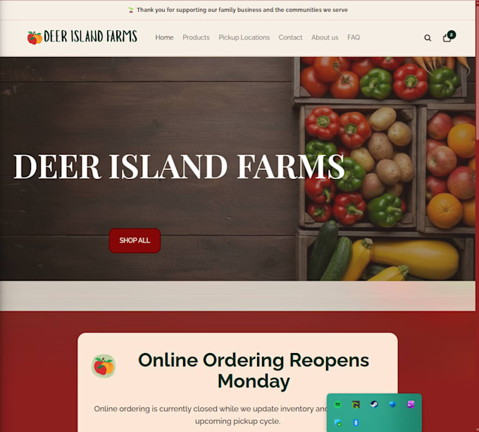 fix shopify bugs and customize your shopify theme
