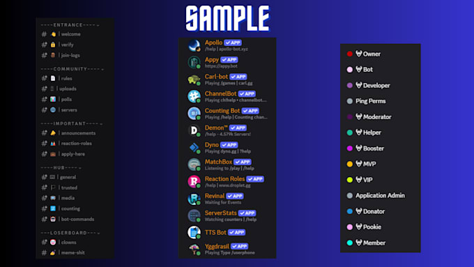 make professional discord sever