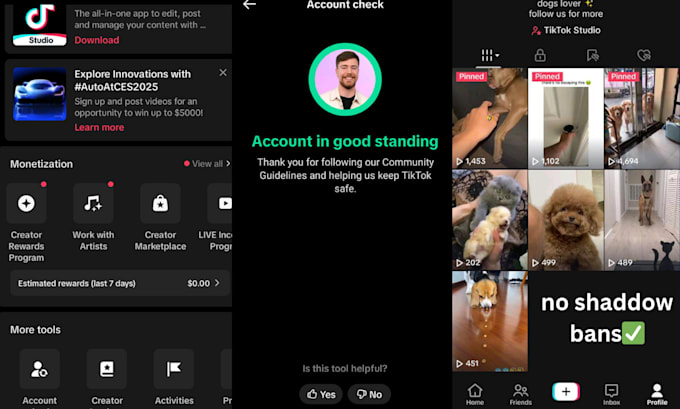 create a USA based tiktok account with beta program for you
