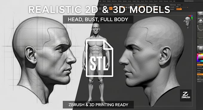 Realistic 2d, 3d head,bust full body model in zbrush figure sti file 3d ...