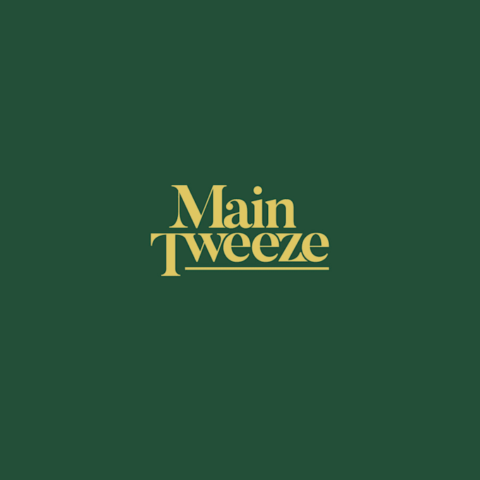 custom typography letter wordmark logo