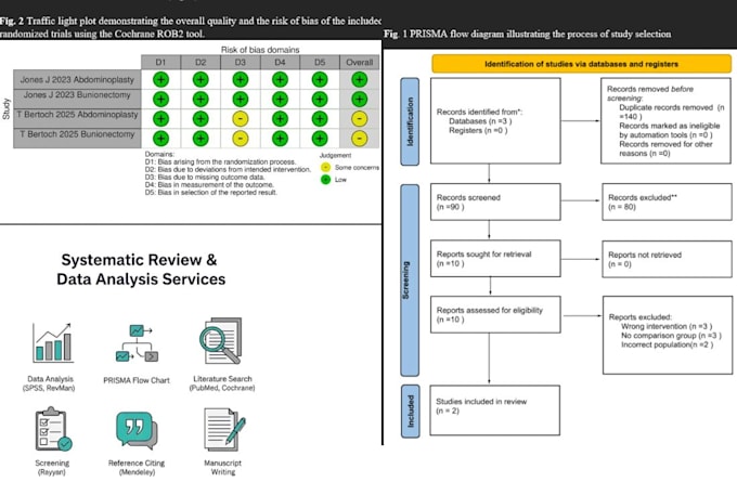 do systematic review meta analysis, spss data extraction
