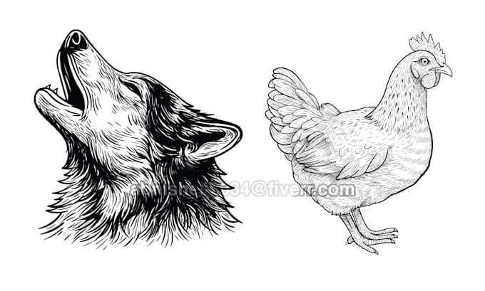 sketch your pet or animal