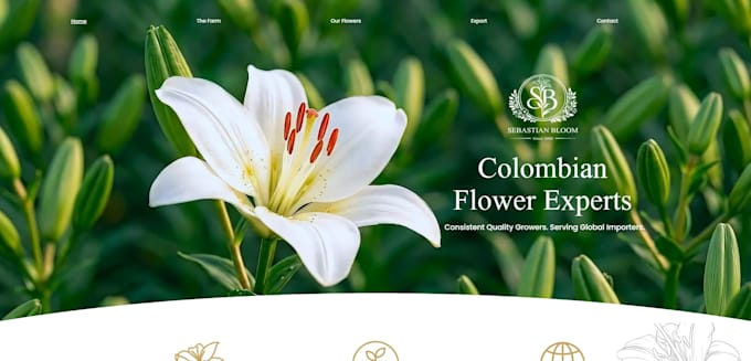 build a professional wix, squarespace or claude website