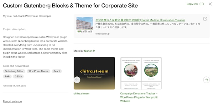 develop custom wordpress themes, plugins, or elementor widgets