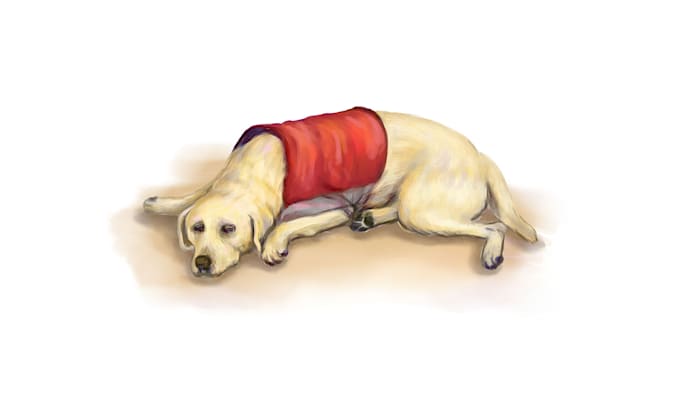 draw dogs illustration for you