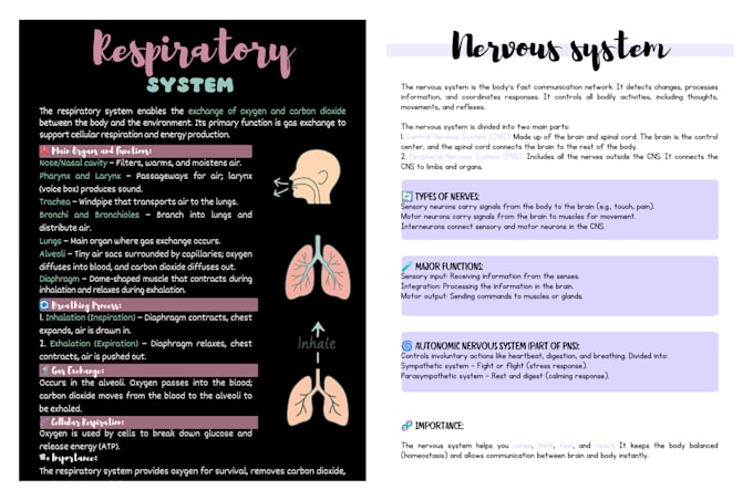 create aesthetic study notes for students and teachers