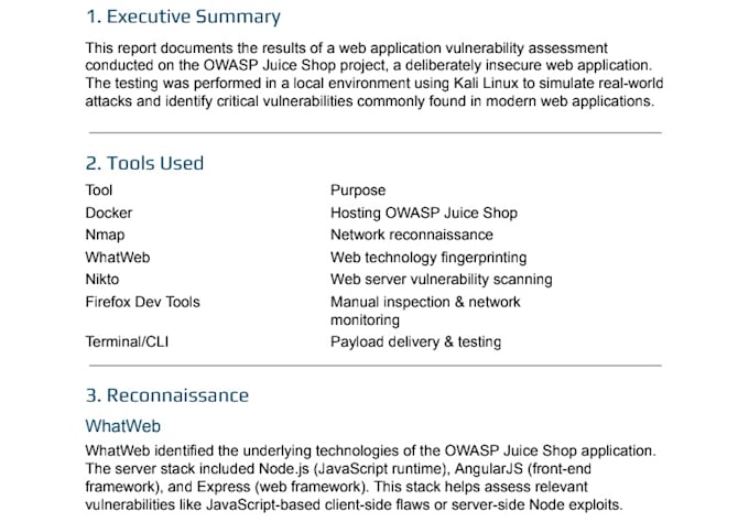 audit your website for security risks and vulnerabilities