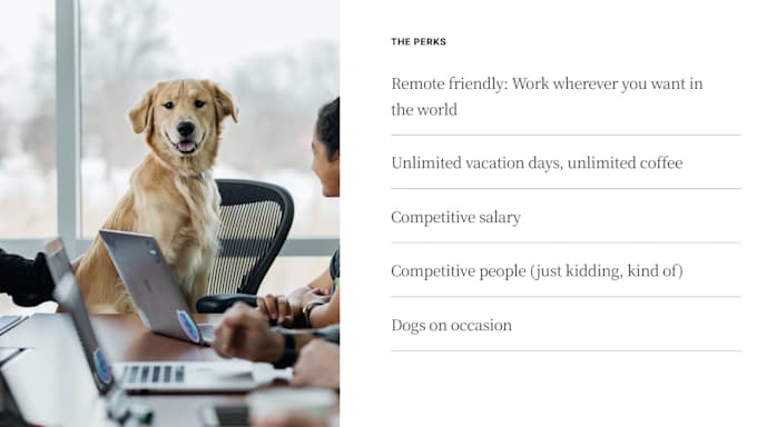 design powerpoint presentation and pitch deck