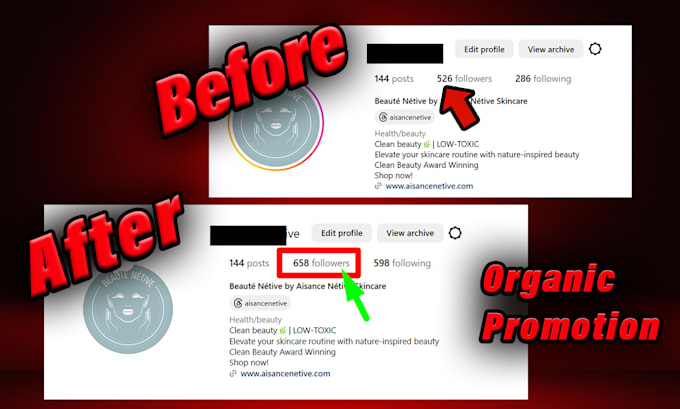 manage, marketing instagram for promotion and growth organically