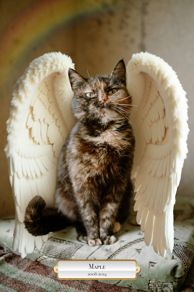 create pet memorial rainbow bridge photo