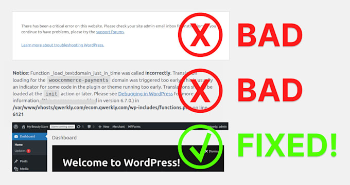 provide expert wordpress issue resolution and site repair