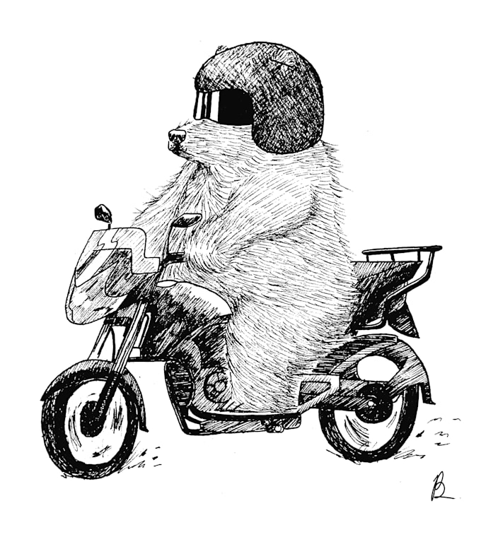 draw a bear with personality and flair