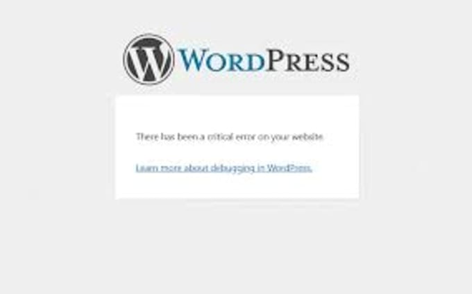 wordpress bug fixing and site error troubleshooting service