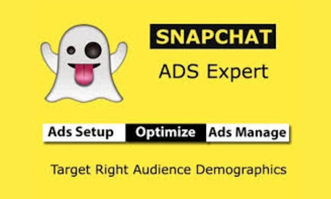 set up linkedin ads, pinterest ads, snapchat ads, twitter ads, facebook ads