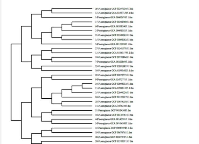 perform comprehensive bacterial genome analysis