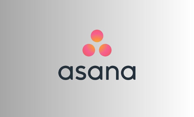 be your asana expert for project setup, asana consultant ,