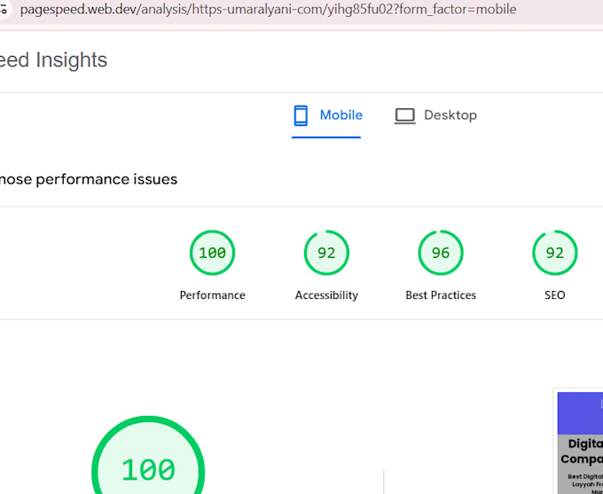 do speed optimization ,to speed up wordpress site ,and fix all issues