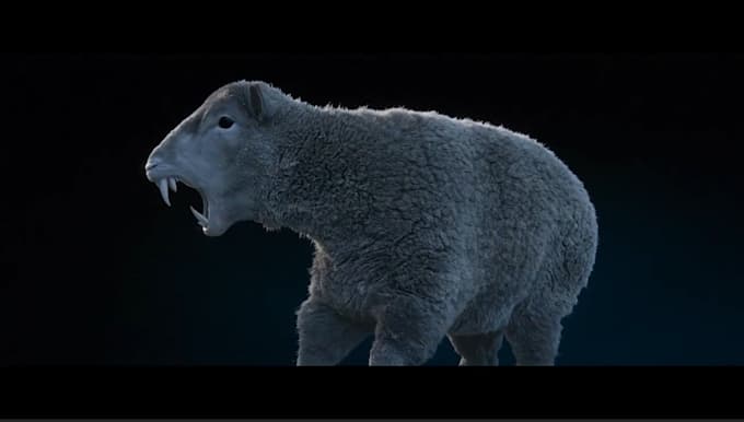 do realistic 3d animal animation, cgi animal model and rig, texture, fur, groom