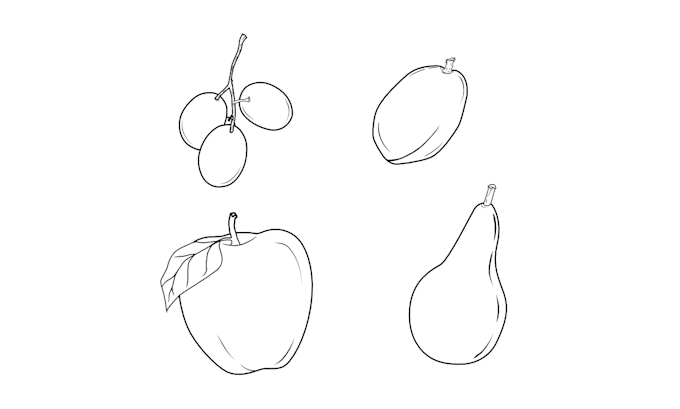 create custom line art vector illustrations