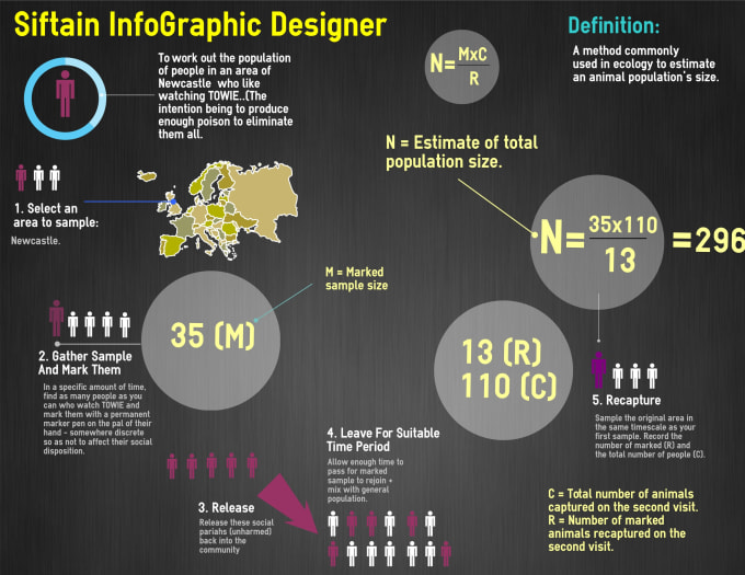 design a magnificent infographic