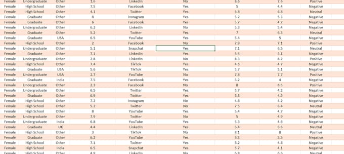 professional excel data entry and spreadsheet services
