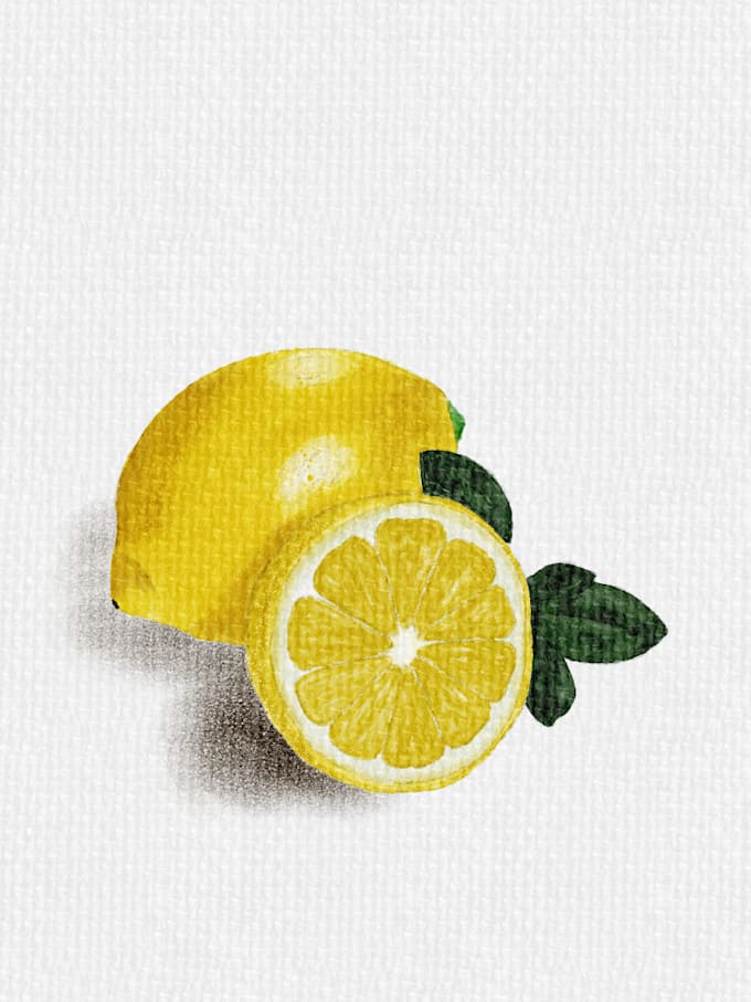 draw watercolor fruit illustrations