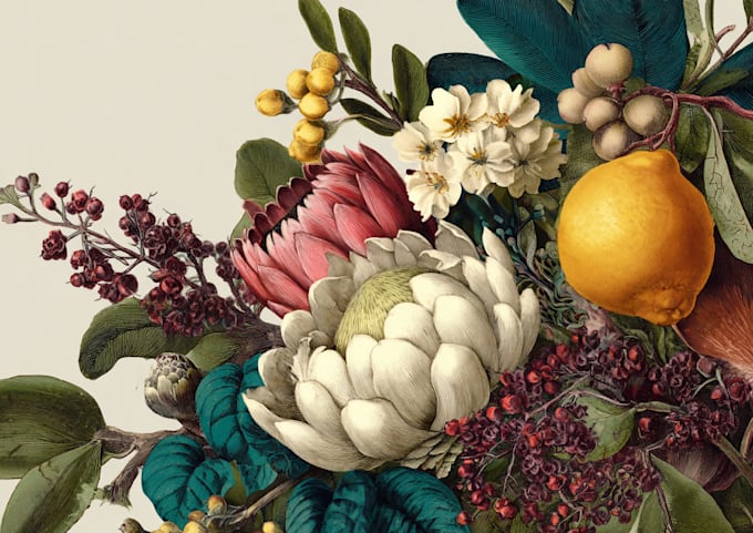 design the best botanical illustration for you