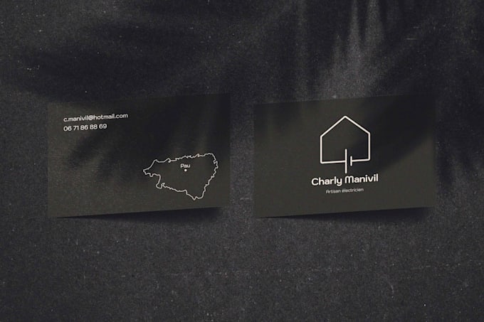 design a professional logo for your brand