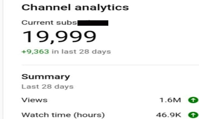 do super fast organic youtube video promotion