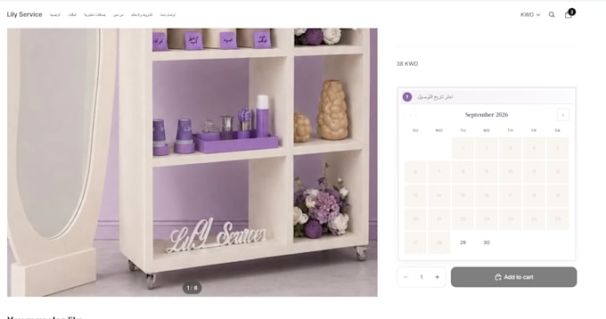 fix shopify store bugs, theme customization liquid coding