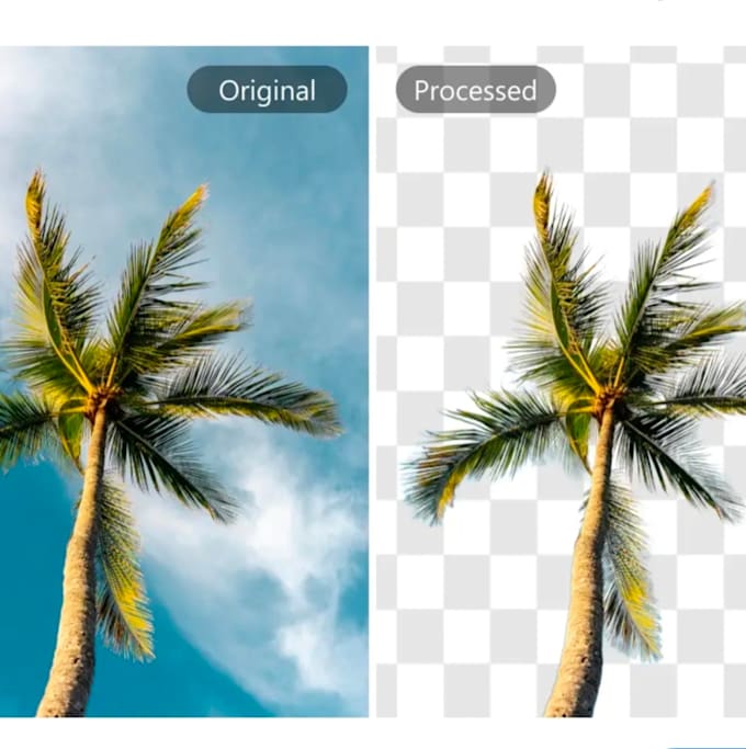erase background for image