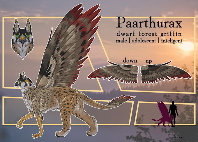 draw you a reference sheet
