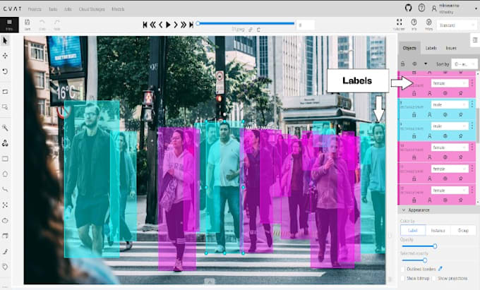 annotate images with bounding box, polygon and segmentation mask  for ai and ml