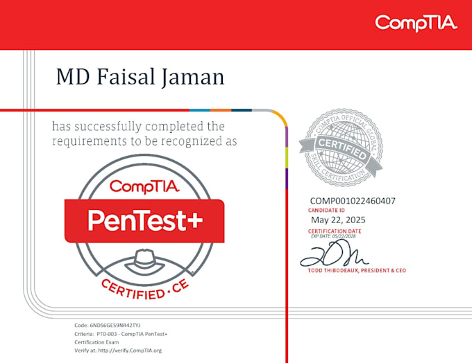 perform professional vapt web mobile application API testing
