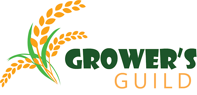 design modern business logo with source file