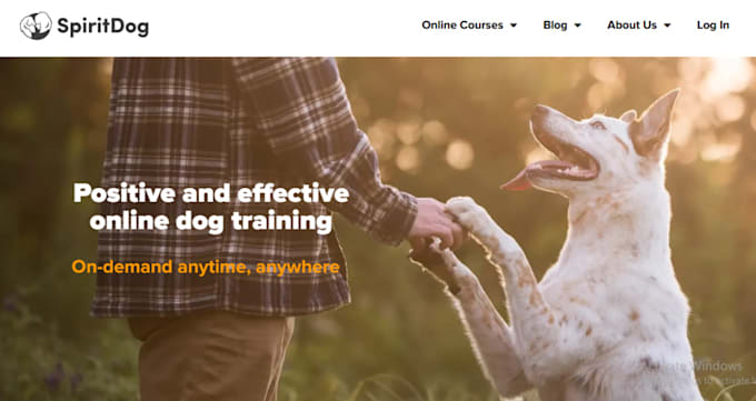 build squarespace dog trainer website squarespace pet services groomer website
