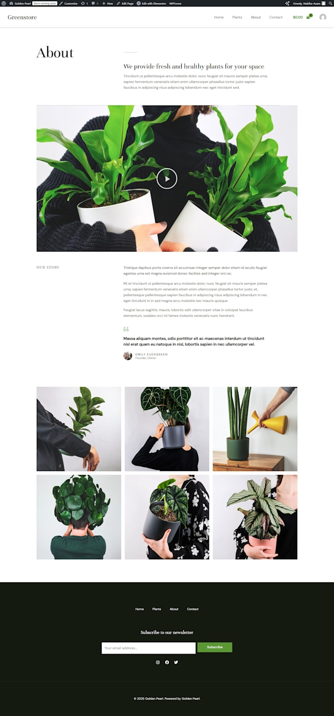 design, redesign and develop you an elegant website
