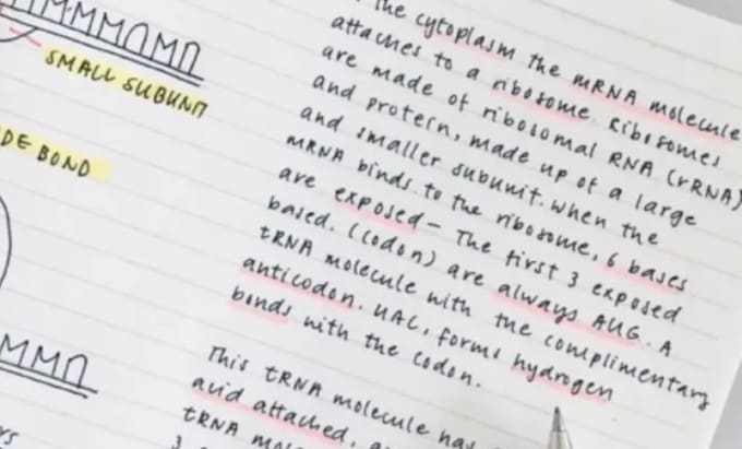 professionally handwrite your letters, notes and invitations
