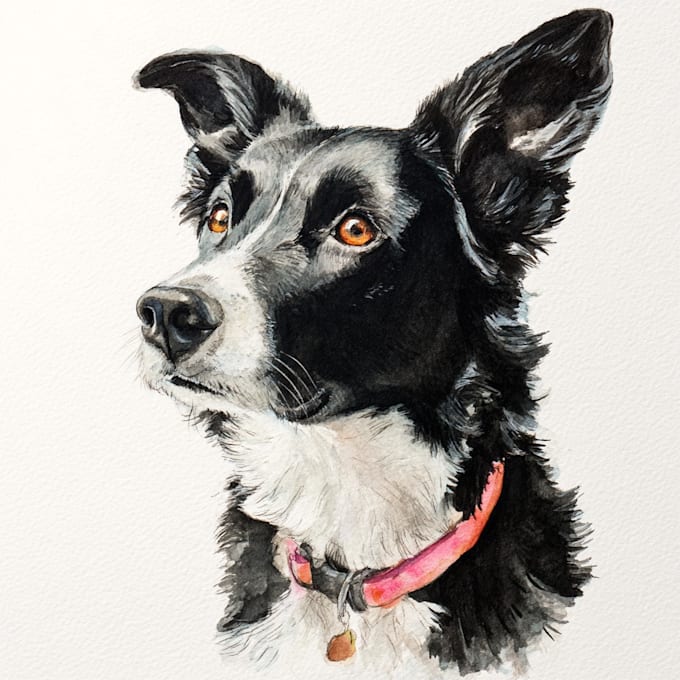 draw watercolor pet portrait
