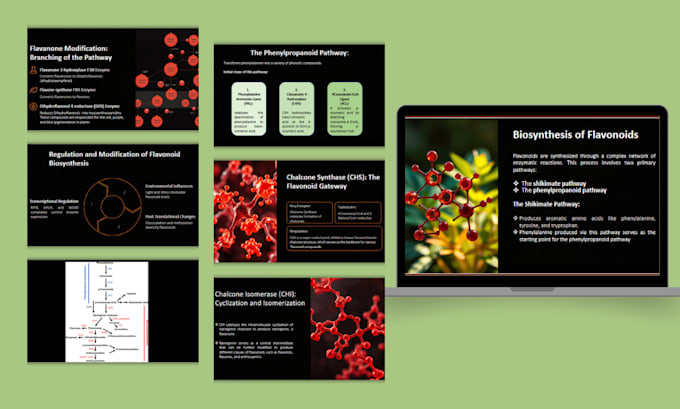design powerpoint presentation, research slides,  and pitch deck