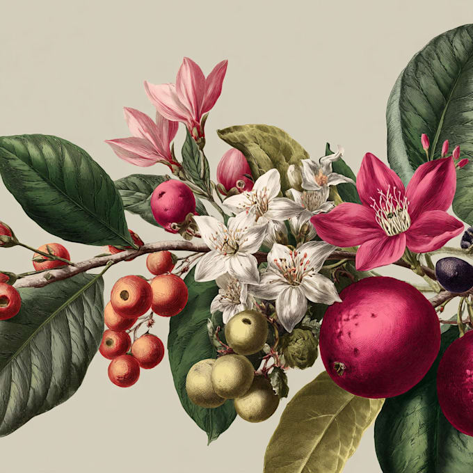 make a beautiful vintage botanical illustration poster
