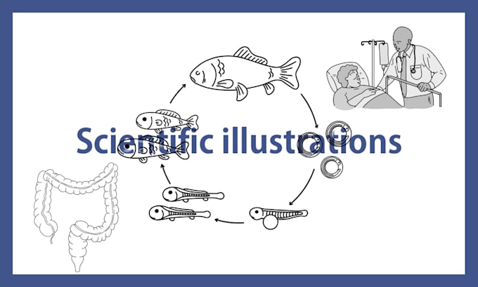 design science and biology diagrams and illustrations